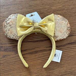 Disney Animal Kingdom Ears